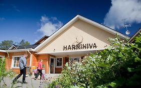Harriniva Adventure Resort Cabins